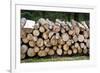 Pile of Wood Logs Ready for Winter-Madredus-Framed Photographic Print
