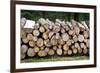 Pile of Wood Logs Ready for Winter-Madredus-Framed Photographic Print