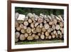Pile of Wood Logs Ready for Winter-Madredus-Framed Photographic Print