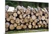 Pile of Wood Logs Ready for Winter-Madredus-Mounted Photographic Print
