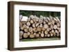 Pile of Wood Logs Ready for Winter-Madredus-Framed Photographic Print