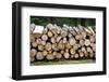 Pile of Wood Logs Ready for Winter-Madredus-Framed Photographic Print