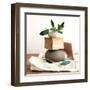 Pile with Olive Tree Branch-Amelie Vuillon-Framed Art Print