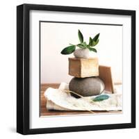 Pile with Olive Tree Branch-Amelie Vuillon-Framed Art Print