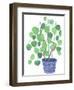 Pilea Plant-Elizabeth Rider-Framed Giclee Print