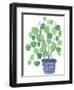 Pilea Plant-Elizabeth Rider-Framed Giclee Print