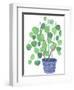 Pilea Plant-Elizabeth Rider-Framed Giclee Print