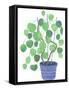 Pilea Plant-Elizabeth Rider-Framed Stretched Canvas