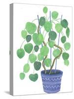 Pilea Plant-Elizabeth Rider-Stretched Canvas