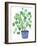 Pilea Plant-Elizabeth Rider-Framed Giclee Print