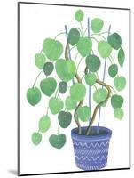 Pilea Plant-Elizabeth Rider-Mounted Giclee Print