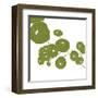 Pilea-Trish Sierer-Framed Art Print