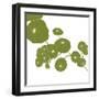 Pilea-Trish Sierer-Framed Art Print