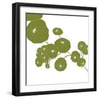 Pilea-Trish Sierer-Framed Art Print