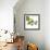 Pilea-Trish Sierer-Framed Art Print displayed on a wall