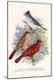 Pileated Finch and Red Crested Finch-F.w. Frohawk-Mounted Art Print