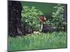 Pileated Woodpecker at Stump, Louisville, Kentucky, USA-Adam Jones-Mounted Photographic Print