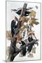 Pileated Woodpeckers-John James Audubon-Mounted Premium Giclee Print