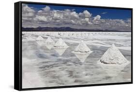 Piles of Salt on the Surface of the Salar De Uyuni Salt Lake, Bolivia-zanskar-Framed Stretched Canvas