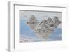 Piles of Salt on the Surface of the Salar De Uyuni Salt Lake, Bolivia-zanskar-Framed Photographic Print