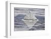 Piles of Salt on the Surface of the Salar De Uyuni Salt Lake, Bolivia-zanskar-Framed Photographic Print