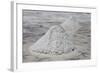 Piles of Salt on the Surface of the Salar De Uyuni Salt Lake, Bolivia-zanskar-Framed Photographic Print