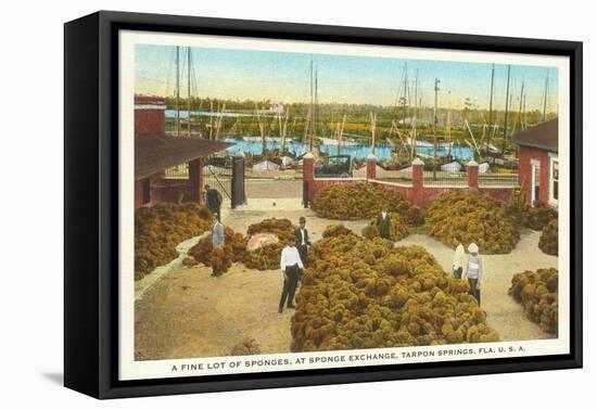 Piles of Sponges, Tarpon Springs, Florida-null-Framed Stretched Canvas
