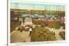 Piles of Sponges, Tarpon Springs, Florida-null-Stretched Canvas