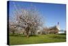 Pilgrimage Church of Birnau Abbey-Markus Lange-Stretched Canvas