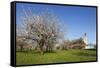 Pilgrimage Church of Birnau Abbey-Markus Lange-Framed Stretched Canvas