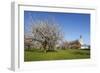 Pilgrimage Church of Birnau Abbey-Markus Lange-Framed Photographic Print