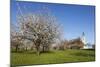 Pilgrimage Church of Birnau Abbey-Markus Lange-Mounted Photographic Print