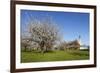 Pilgrimage Church of Birnau Abbey-Markus Lange-Framed Photographic Print