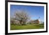 Pilgrimage Church of Birnau Abbey-Markus Lange-Framed Photographic Print