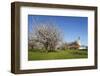 Pilgrimage Church of Birnau Abbey-Markus Lange-Framed Photographic Print