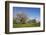 Pilgrimage Church of Birnau Abbey-Markus Lange-Framed Photographic Print