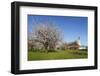 Pilgrimage Church of Birnau Abbey-Markus Lange-Framed Photographic Print