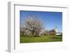 Pilgrimage Church of Birnau Abbey-Markus Lange-Framed Photographic Print