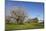 Pilgrimage Church of Birnau Abbey-Markus Lange-Mounted Photographic Print