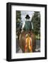 Pilgrimage with horse-Christine Meder stage-art.de-Framed Photographic Print