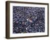 Pilgrims and Devotees Taking Part in Annual Black Nazarene Procession, Manila, Philippines-Alain Evrard-Framed Photographic Print