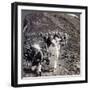 Pilgrims at the End of their Ascent of Mount Fuji (Fujiyam), Japan, 1904-Underwood & Underwood-Framed Photographic Print