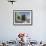 Pilgrims at the Shrine of Hazrat Ali, Mazar-I-Sharif, Afghanistan-Jane Sweeney-Framed Photographic Print displayed on a wall