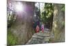 Pilgrims on Daimon-Zaka Nachi Tokaido Pilgrimage Route, Wakayama Prefecture, Honshu, Japan, Asia-Christian Kober-Mounted Photographic Print