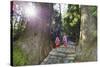 Pilgrims on Daimon-Zaka Nachi Tokaido Pilgrimage Route, Wakayama Prefecture, Honshu, Japan, Asia-Christian Kober-Stretched Canvas