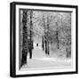 Pilgrims on the Way to the Bogorodichno-Uspenskij Monastery, Tikhvin, Leningrad Region, Russia-Nadia Isakova-Framed Photographic Print