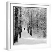 Pilgrims on the Way to the Bogorodichno-Uspenskij Monastery, Tikhvin, Leningrad Region, Russia-Nadia Isakova-Framed Photographic Print