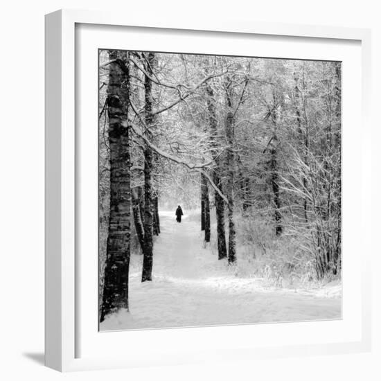 Pilgrims on the Way to the Bogorodichno-Uspenskij Monastery, Tikhvin, Leningrad Region, Russia-Nadia Isakova-Framed Photographic Print