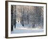 Pilgrims on the Way to the Bogorodichno-Uspenskij Monastery, Tikhvin, Leningrad Region, Russia-Nadia Isakova-Framed Photographic Print