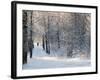 Pilgrims on the Way to the Bogorodichno-Uspenskij Monastery, Tikhvin, Leningrad Region, Russia-Nadia Isakova-Framed Photographic Print